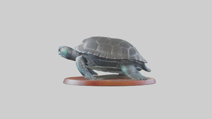 3D model Leatherback Sea Turtle statue model VR / AR / low-poly