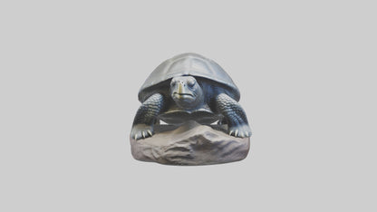Leatherback Turtle statue model VR / AR / low-poly