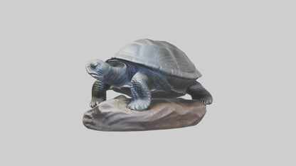 Leatherback Turtle statue model VR / AR / low-poly