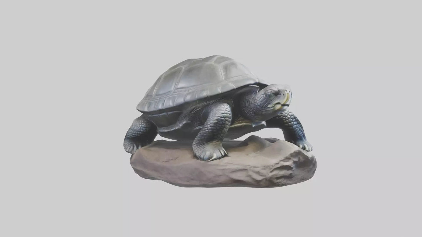 Leatherback Turtle statue model VR / AR / low-poly