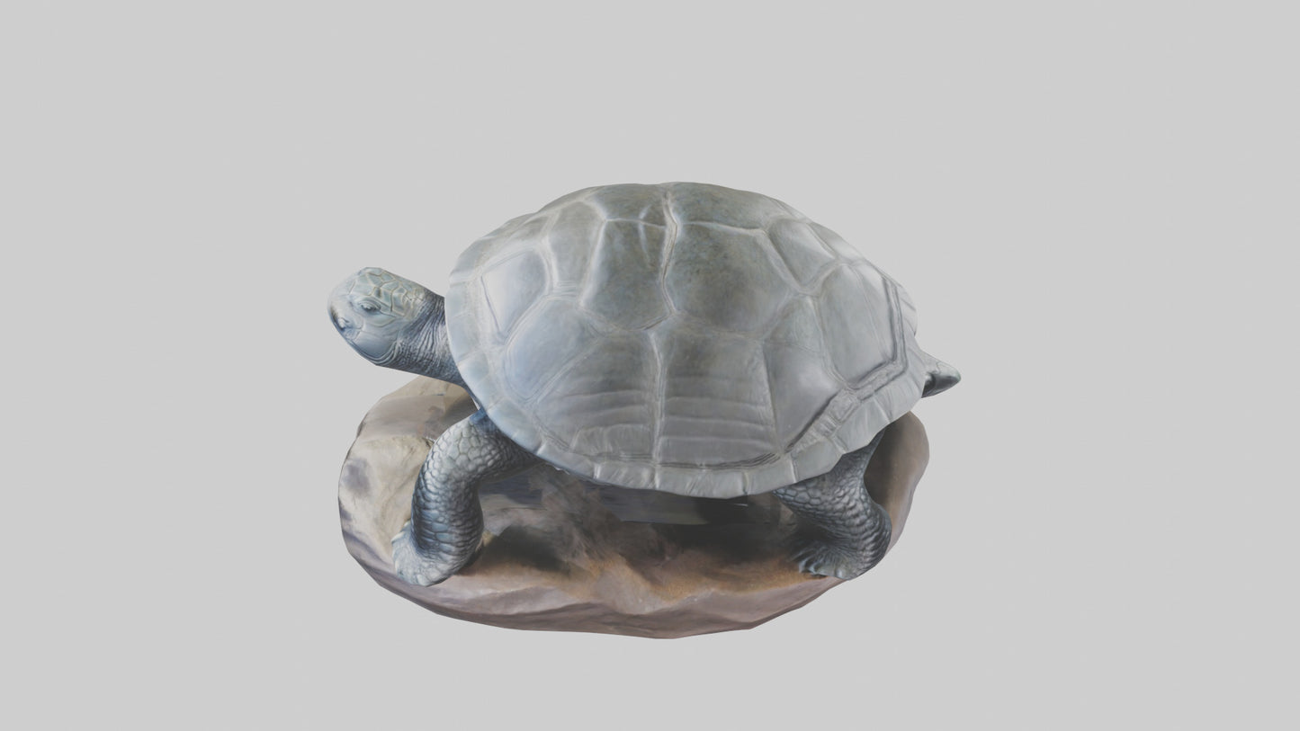 Leatherback Turtle statue model VR / AR / low-poly