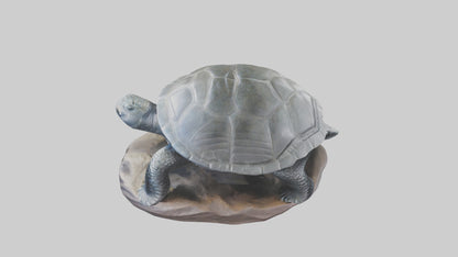 Leatherback Turtle statue model VR / AR / low-poly