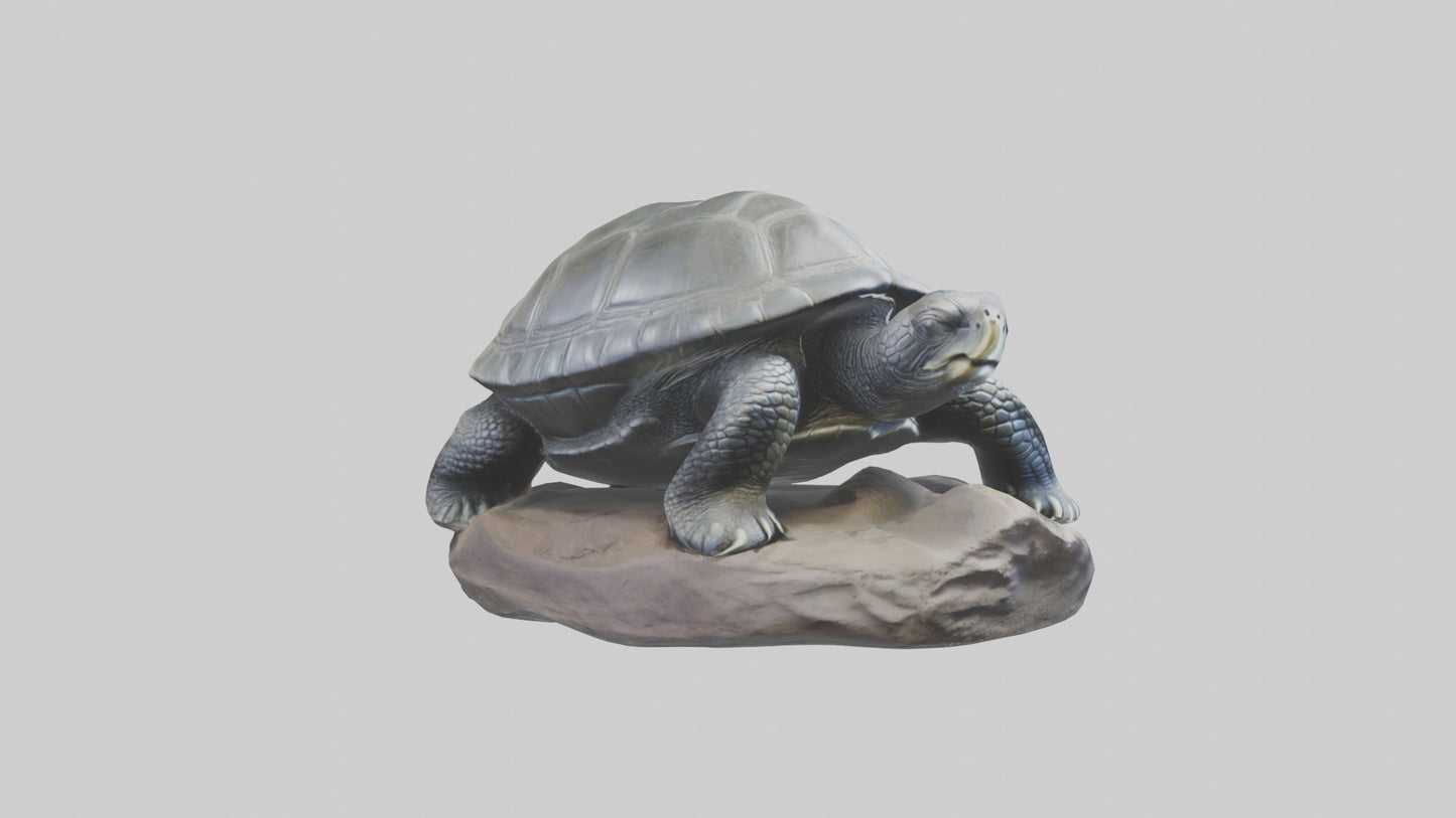Leatherback Turtle statue model VR / AR / low-poly