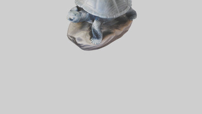 Leatherback Turtle statue model VR / AR / low-poly