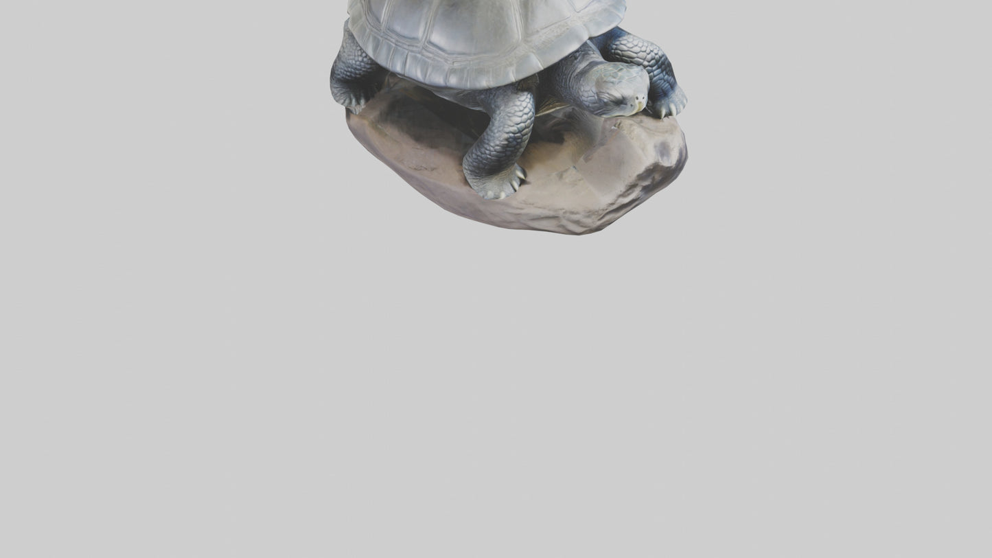 Leatherback Turtle statue model VR / AR / low-poly
