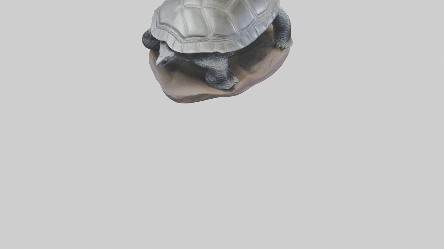 Leatherback Turtle statue model VR / AR / low-poly