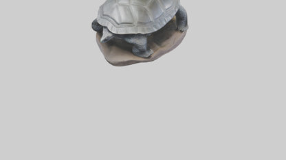 Leatherback Turtle statue model VR / AR / low-poly