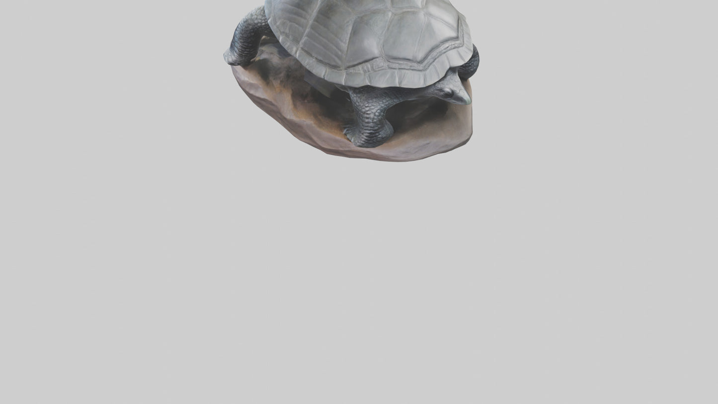 Leatherback Turtle statue model VR / AR / low-poly
