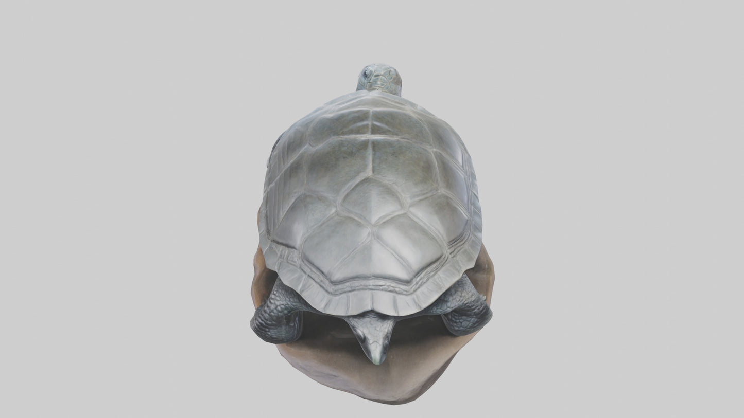 Leatherback Turtle statue model VR / AR / low-poly