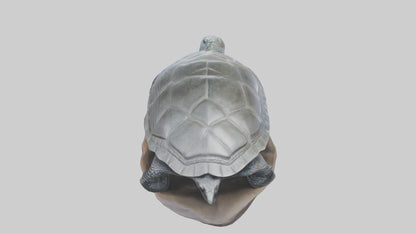 Leatherback Turtle statue model VR / AR / low-poly