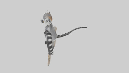 3D model Lemur perched model VR / AR / low-poly