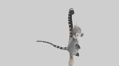 3D model Lemur perched model VR / AR / low-poly