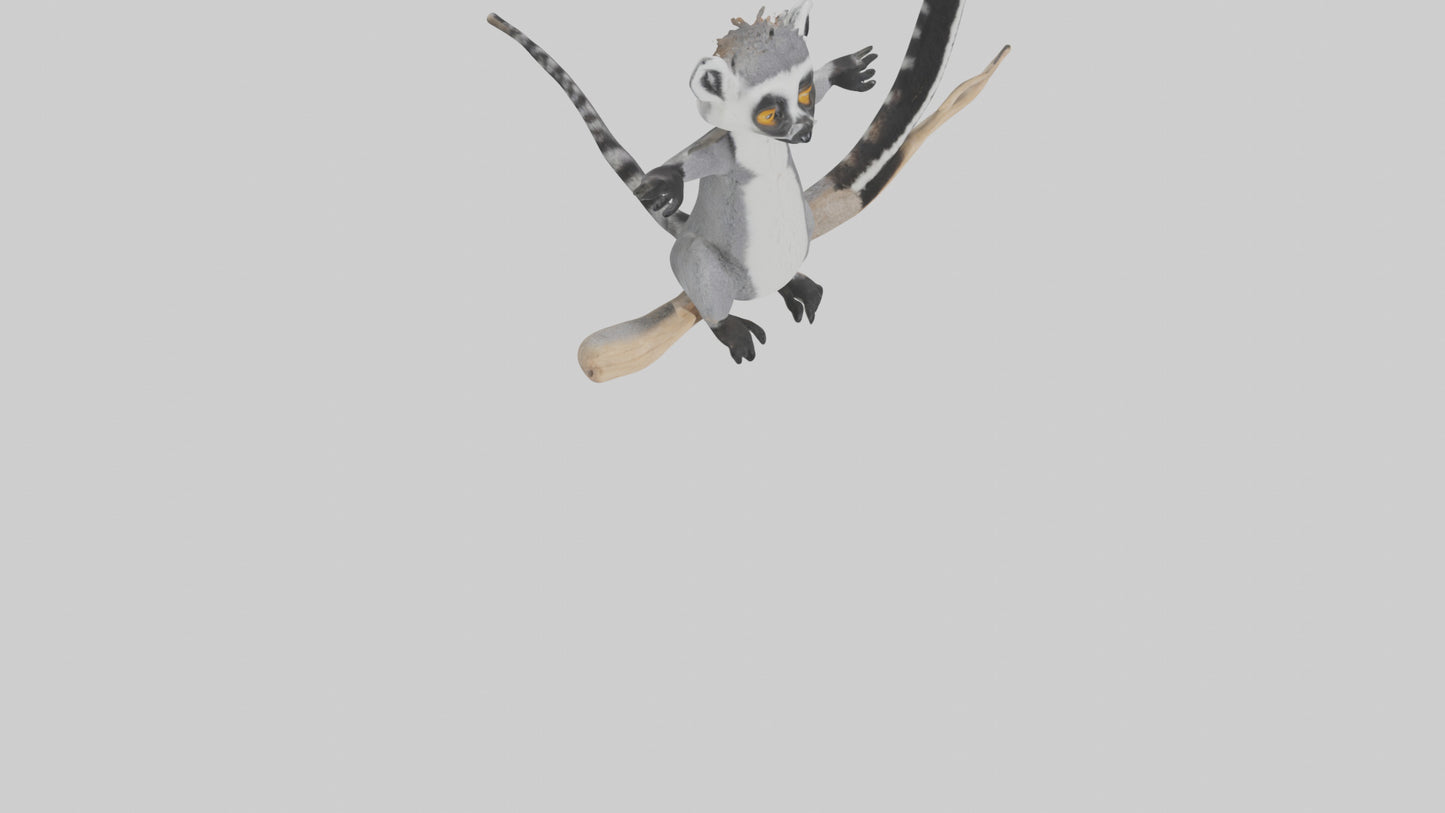 3D model Lemur perched model VR / AR / low-poly
