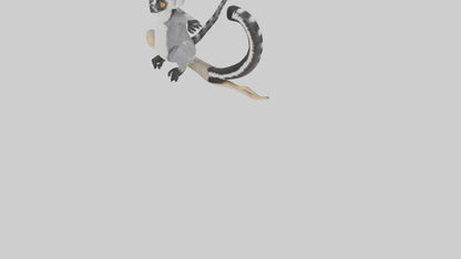 3D model Lemur perched model VR / AR / low-poly