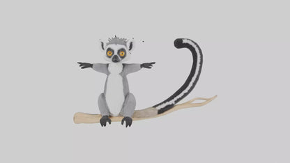 3D model Lemur perched model VR / AR / low-poly