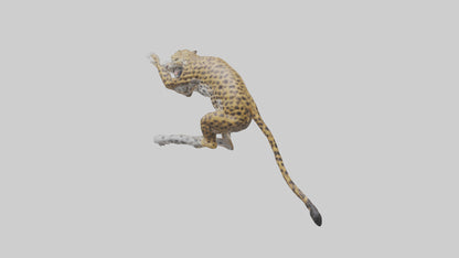 3D model Leopard climbing model VR / AR / low-poly