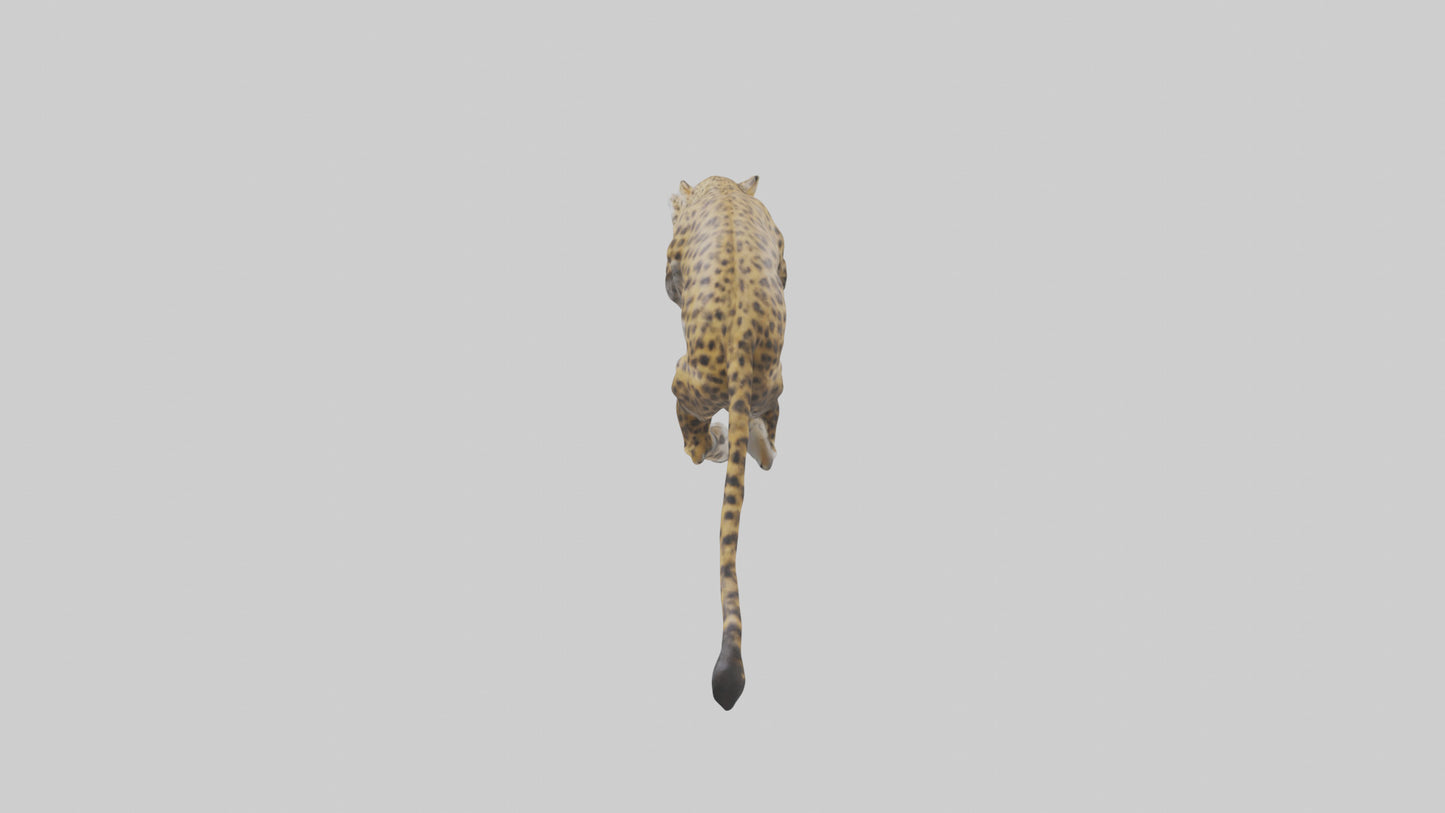 3D model Leopard climbing model VR / AR / low-poly