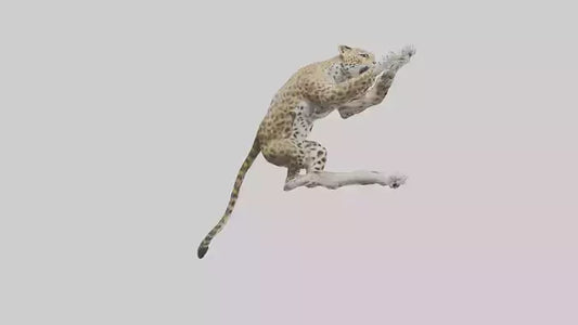 3D model Leopard climbing model VR / AR / low-poly