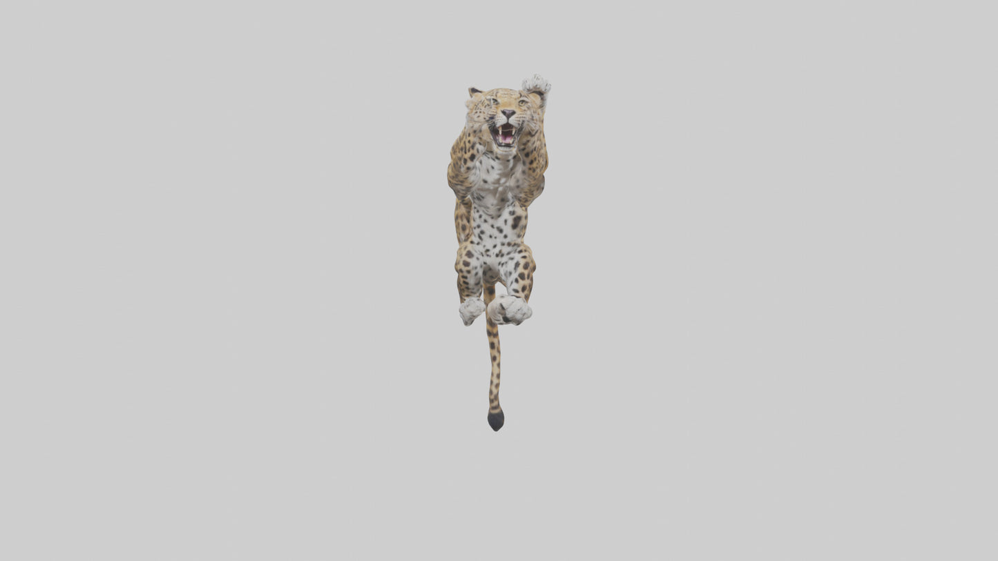 3D model Leopard climbing model VR / AR / low-poly
