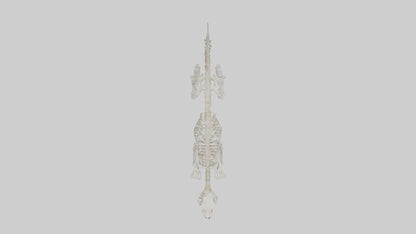 Leopard Skeleton model VR / AR / low-poly