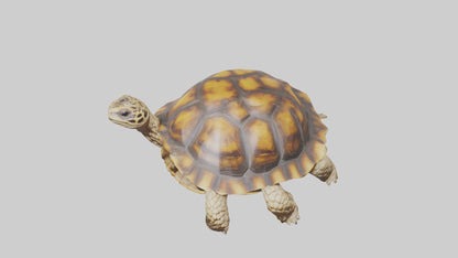 3D model Leopard Spine VR / AR / low-poly