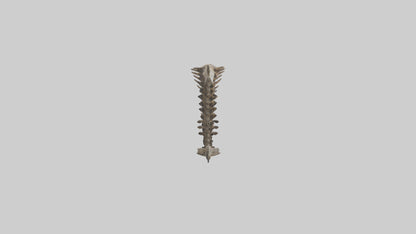 3D model Leopard Spine VR / AR / low-poly