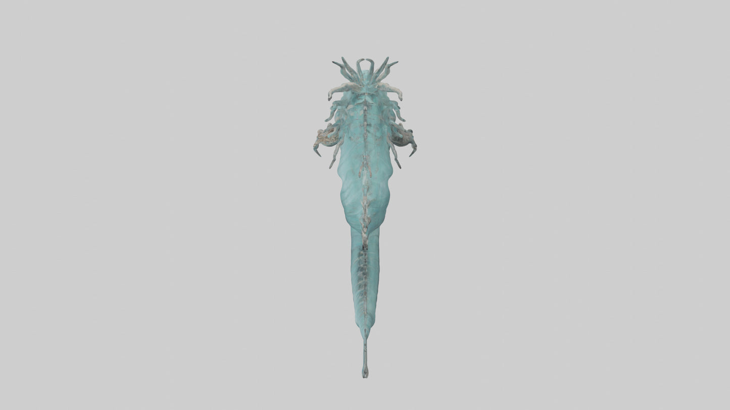 3D model Leviathan model VR / AR / low-poly