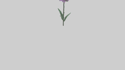 3D model Liatris flower model VR / AR / low-poly