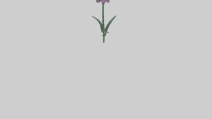 3D model Liatris flower model VR / AR / low-poly