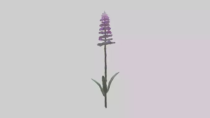 3D model Liatris flower model VR / AR / low-poly