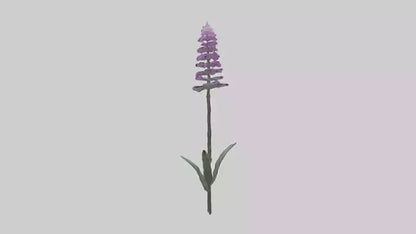 3D model Liatris flower model VR / AR / low-poly