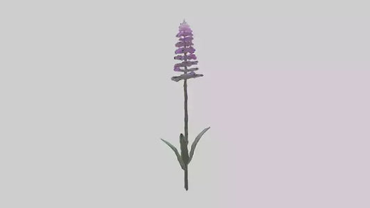 3D model Liatris flower model VR / AR / low-poly