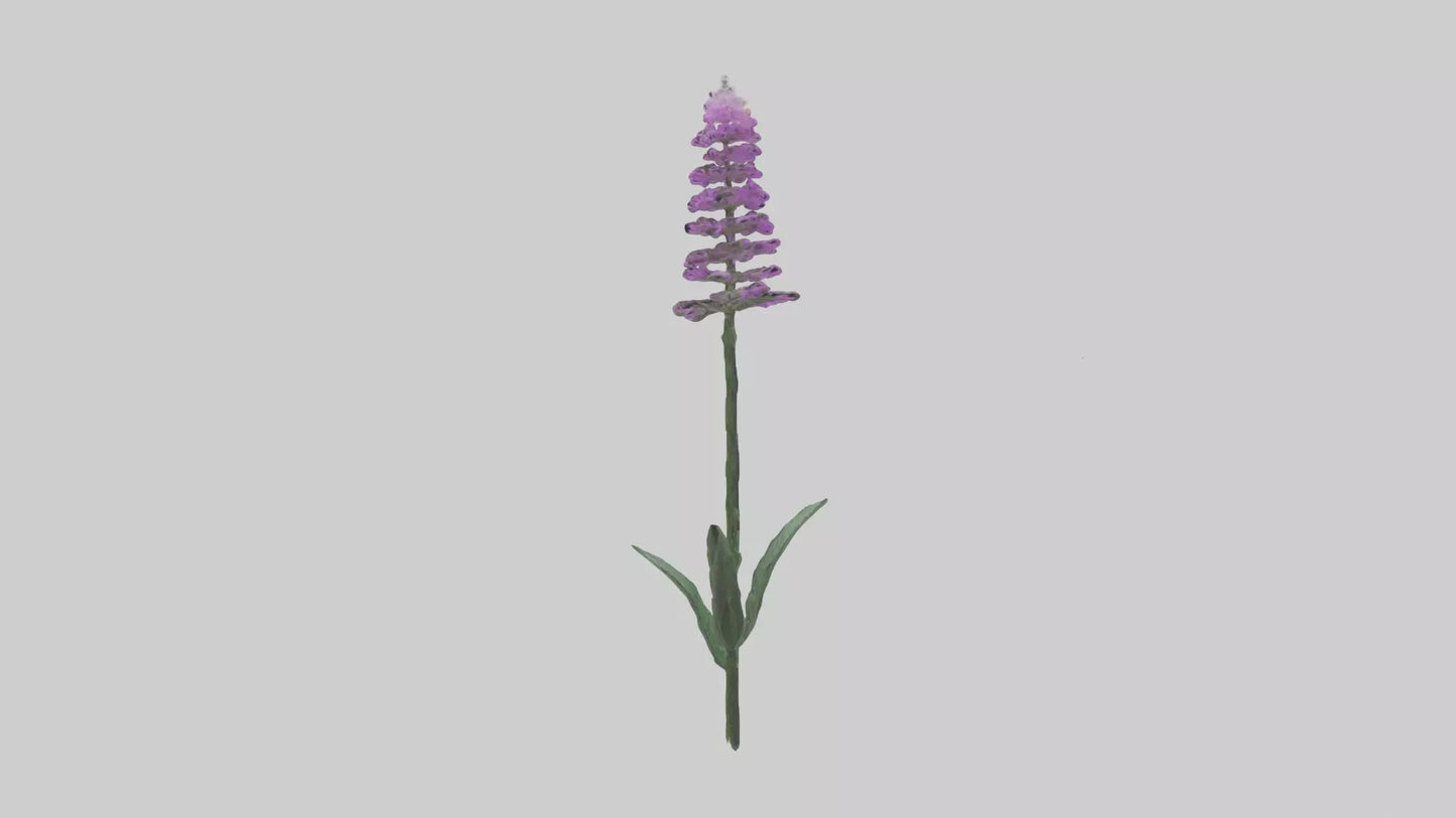 3D model Liatris flower model VR / AR / low-poly