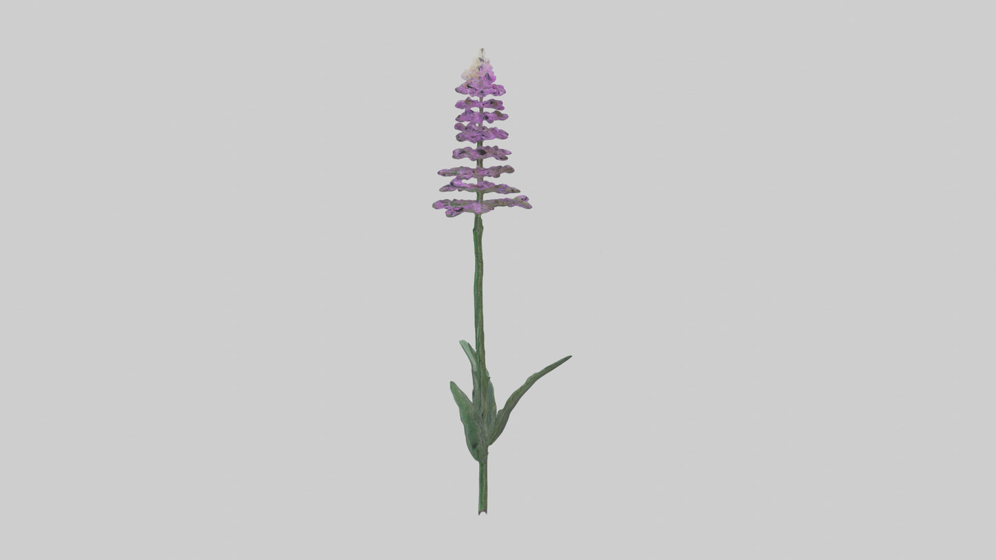 3D model Liatris flower model VR / AR / low-poly