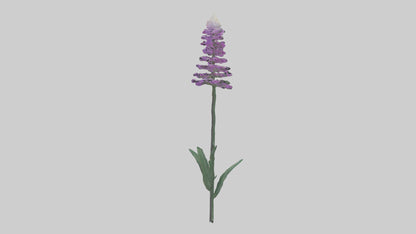 3D model Liatris flower model VR / AR / low-poly