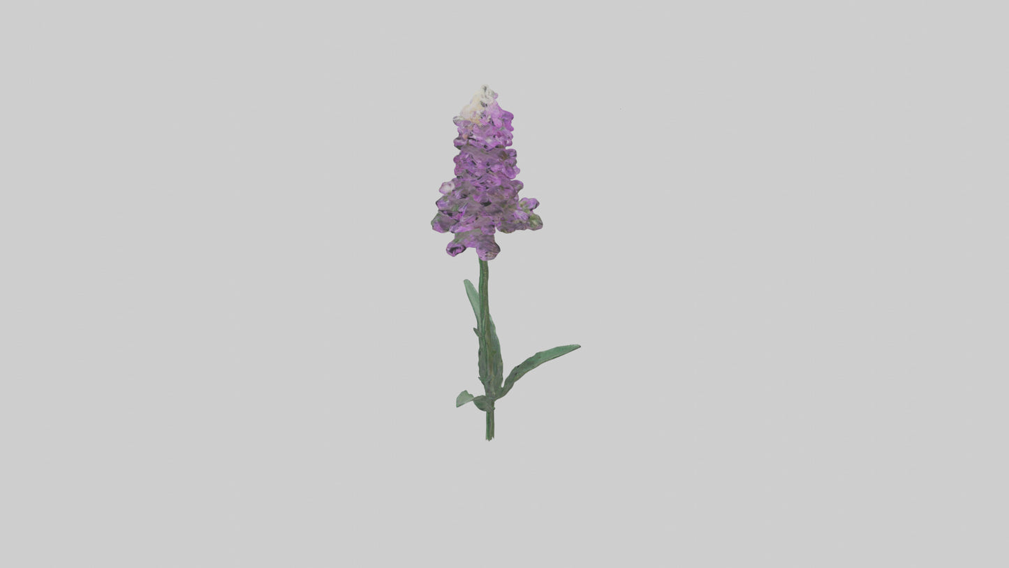 3D model Liatris flower model VR / AR / low-poly