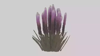 3D model Liatris model VR / AR / low-poly