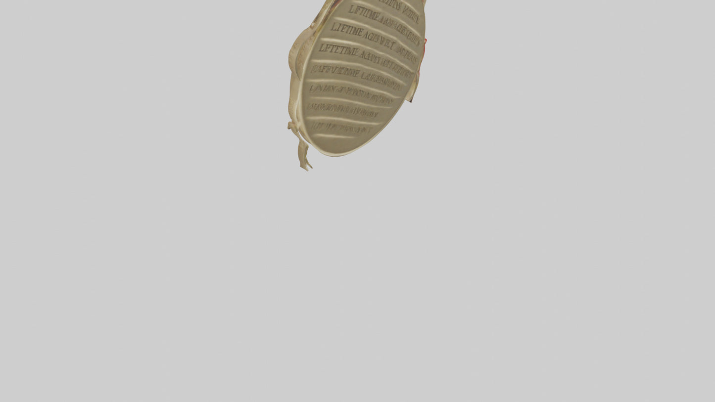 Lifetime Achievement Medal model VR / AR / low-poly