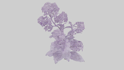3D model Lilac and Tree model VR / AR / low-poly