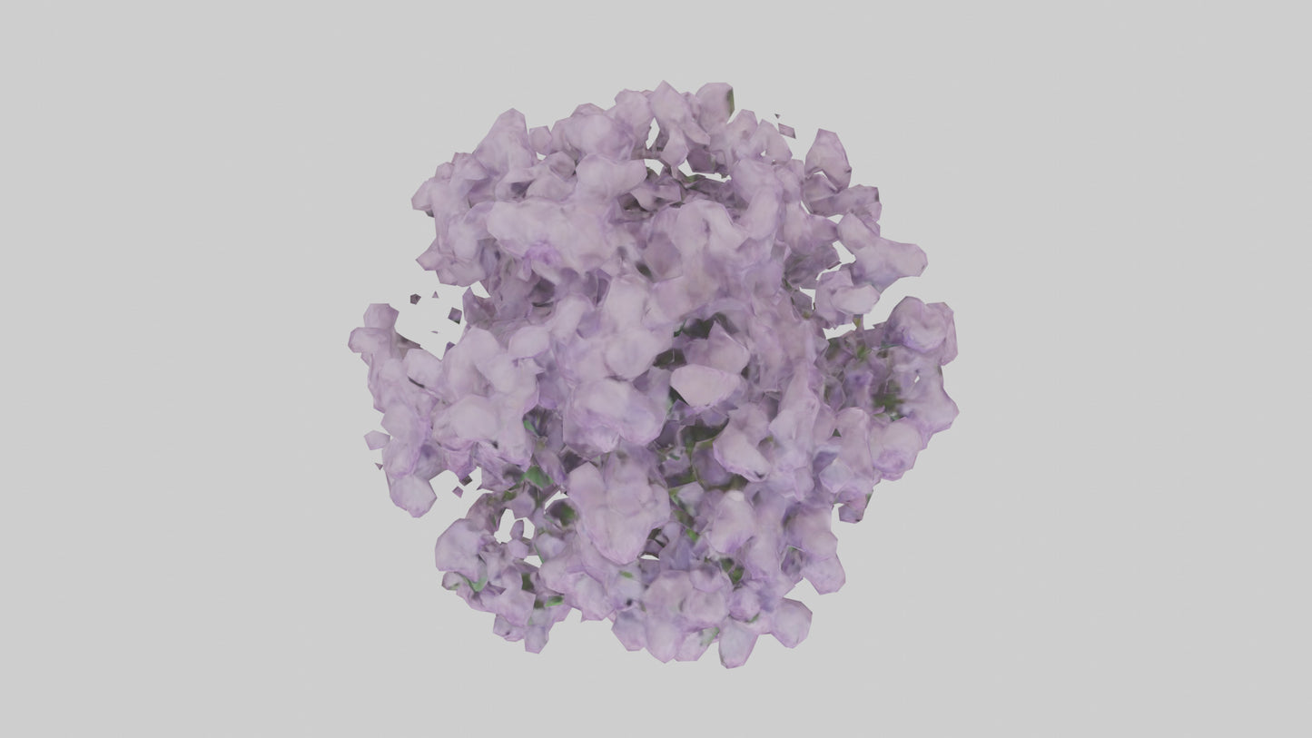 3D model Lilac and Tree model VR / AR / low-poly