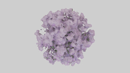 3D model Lilac and Tree model VR / AR / low-poly