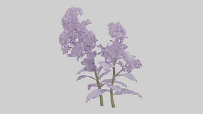 3D model Lilac and Tree model VR / AR / low-poly