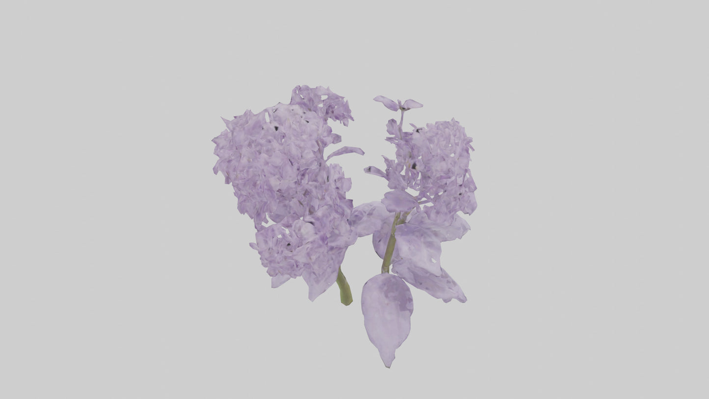 3D model Lilac and Tree model VR / AR / low-poly