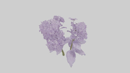 3D model Lilac and Tree model VR / AR / low-poly