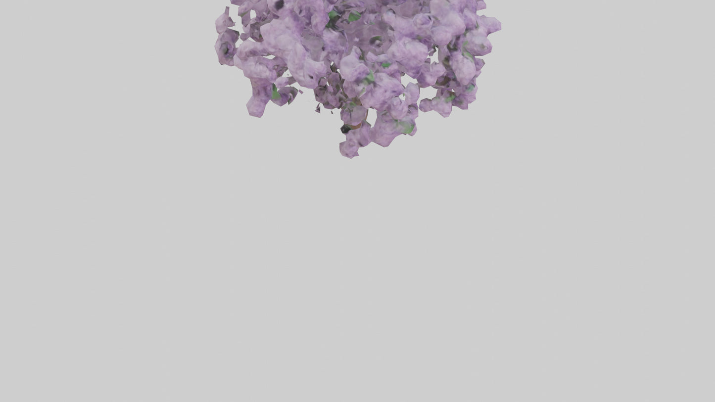 3D model Lilac and Tree model VR / AR / low-poly