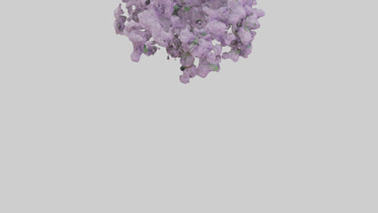 3D model Lilac and Tree model VR / AR / low-poly