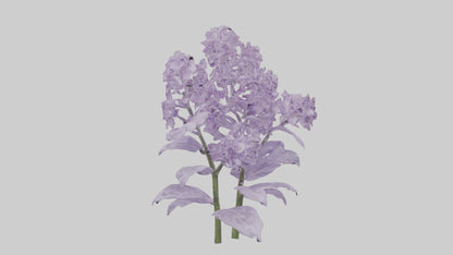 3D model Lilac and Tree model VR / AR / low-poly