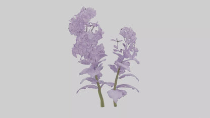 3D model Lilac and Tree model VR / AR / low-poly