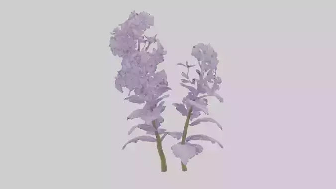 3D model Lilac and Tree model VR / AR / low-poly