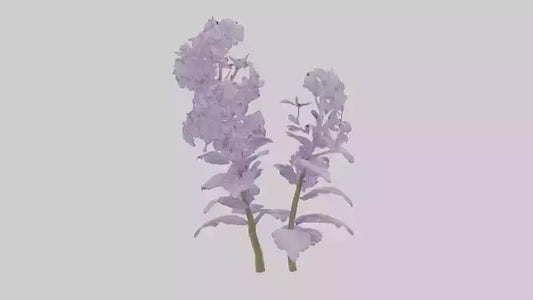 3D model Lilac and Tree model VR / AR / low-poly
